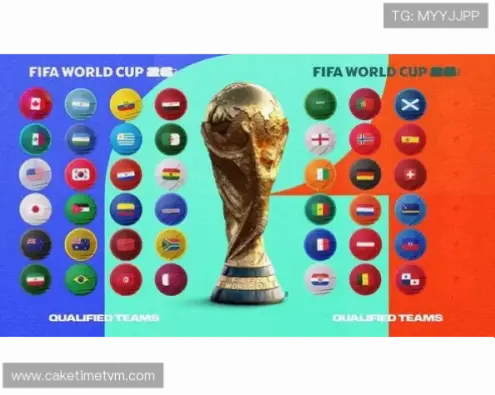 fifa 官方 网站核心功能与数据服务详解